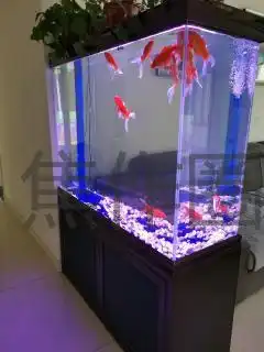 搬家急转几乎全新的品牌鱼缸给钱就卖了,有要的抓紧联系