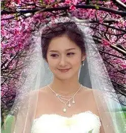 在photoshop中将一张图片嵌入一个图形中的快捷键