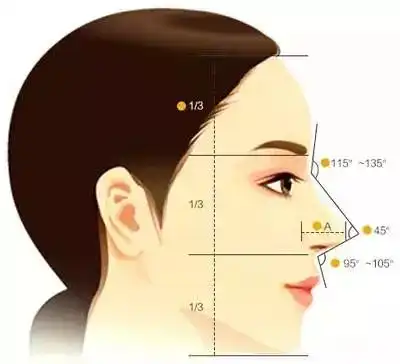 刘嘉玲的鼻子怎么了有这个特征小心年老变牛鼻子