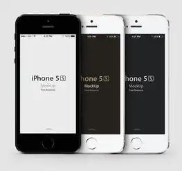 iphone5s