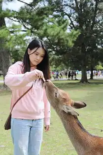 京都大阪丨四个追风少年的关西6日之旅