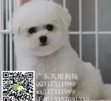 黄页88高清图片