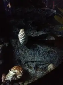 测试一个超长简介的文章