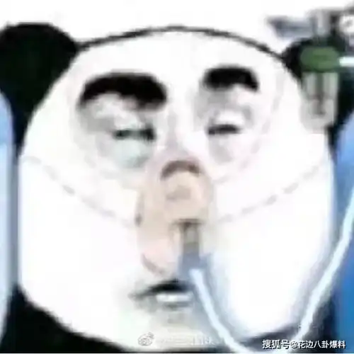 hermes年消费2000w她是真正的人间香奈儿,还是金主的宠儿
