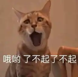 被队友拿ddl追着杀真的不是我愿意的