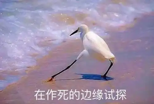 有没有一看就像脑子有病的文案