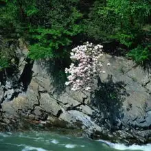 四季美景176