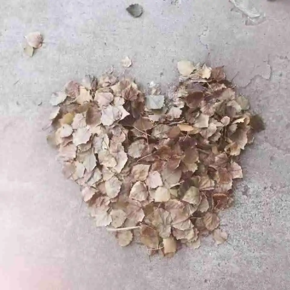 测试一个超长简介的文章