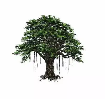 出家的90后们,该还俗啦