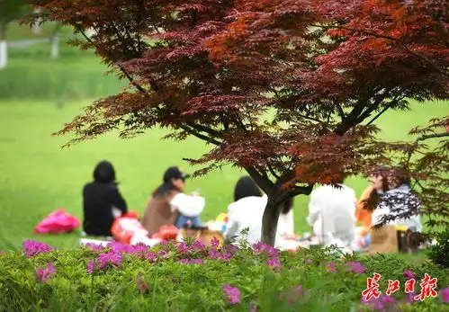 武汉绿意盎然