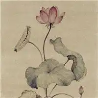 好看唯美水墨荷花大师级别的,国画荷花作品欣赏