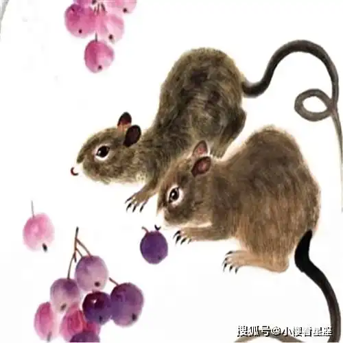 2021年3月14号开始,财运勃发,事业突飞猛进,桃花盛开,生活红火的四属相