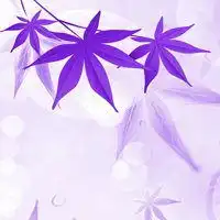 微信头像图片大全花朵唯美微信头像图片大全