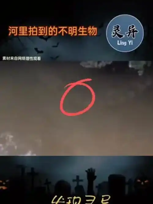 小伙河里拍到的不明生物,是什么东西奇闻异事胆小慎入白天刷不到晚上逃不掉系列不可思议