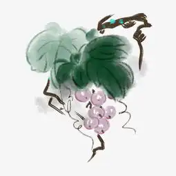 手绘晶莹剔透的葡萄插画图片素材其他格式下载动漫人物大全
