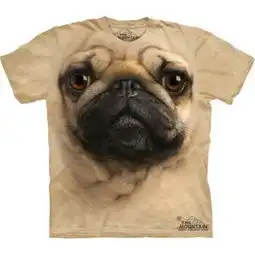 衣服上,前面有一个大的动物肖像那种衣服叫什么