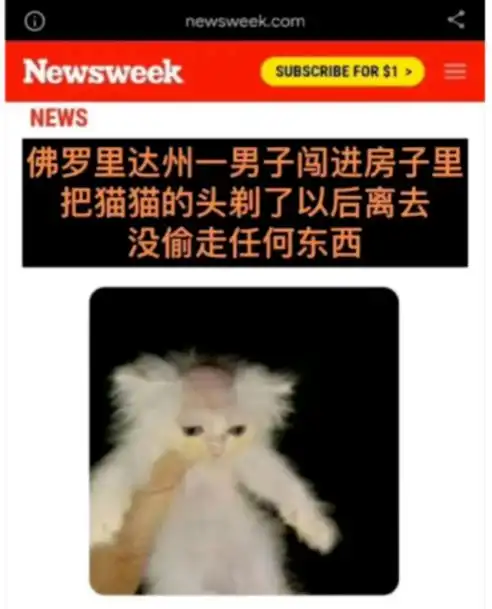 铁打的佛罗里达,流水的魔幻人间