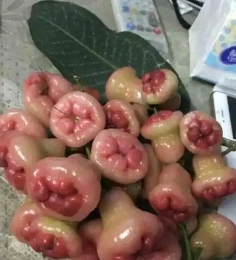 不是天生要强,只是注定要凉爆笑囧图