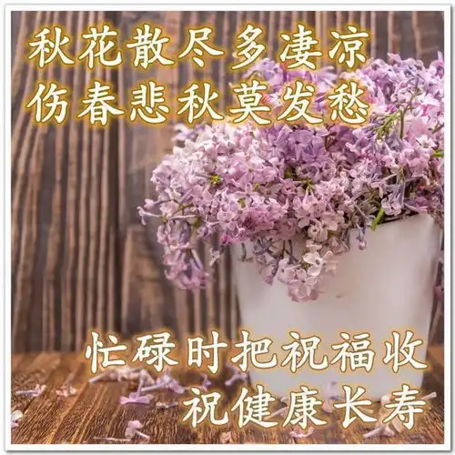 漂亮的早上好温暖问候语图片大全早晨好励志语录精选