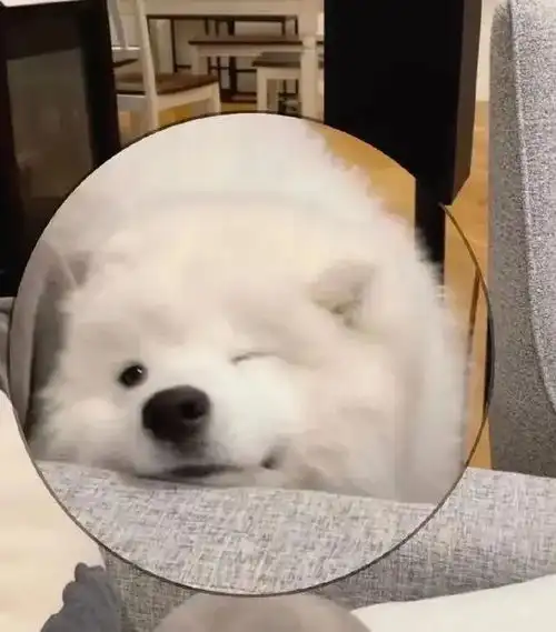 适合女生长期不换的微信头像