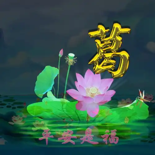 爱了45张姓氏微信头像,满屏都是荷花的清香