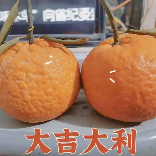 实鼠不易牛转乾坤图片线上作品展示来咯快来投票吧
