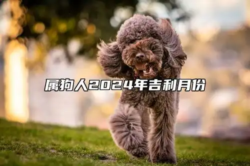 属狗人2024年吉利月份