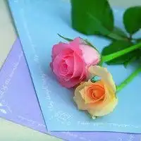 一朵简单的花朵头像微信头像图片大全