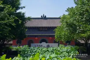 华岩寺荷花