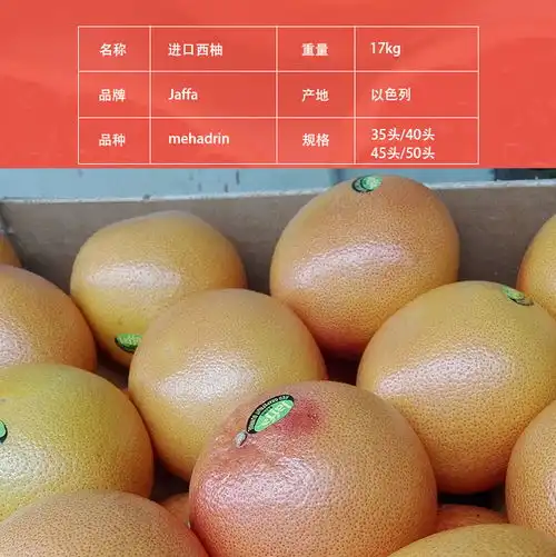 网络114