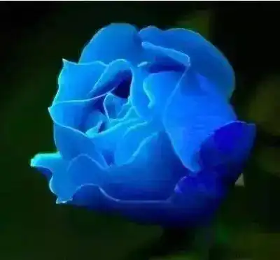 测试一个超长简介的文章