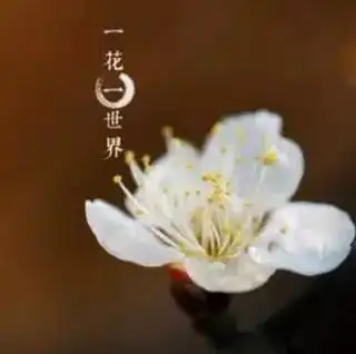 郁闷了,音乐可以来调节