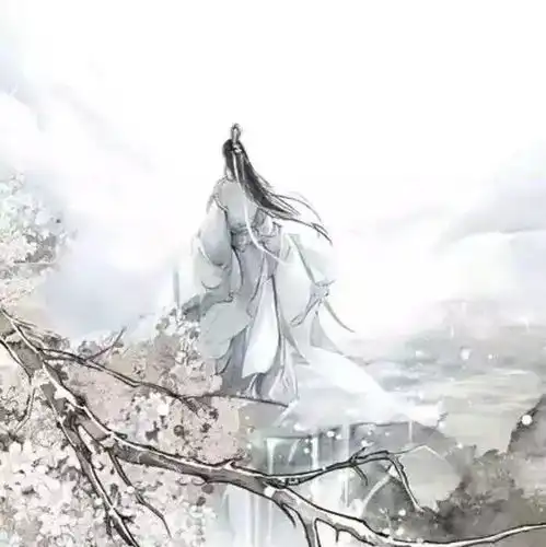 测试一个超长简介的文章