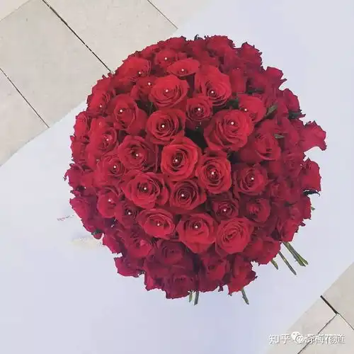 奇梅花道16款花艺圈最受欢迎的红玫瑰,你都知道哪些