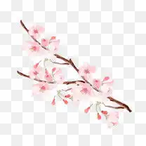 清新唯美粉色玫瑰花丛素材图片免费下载高清装饰图案png千库网图片编号7290503