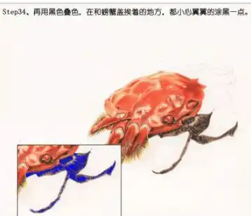 彩铅手绘入门手绘美食大闸蟹,零基础彩铅画入门教程