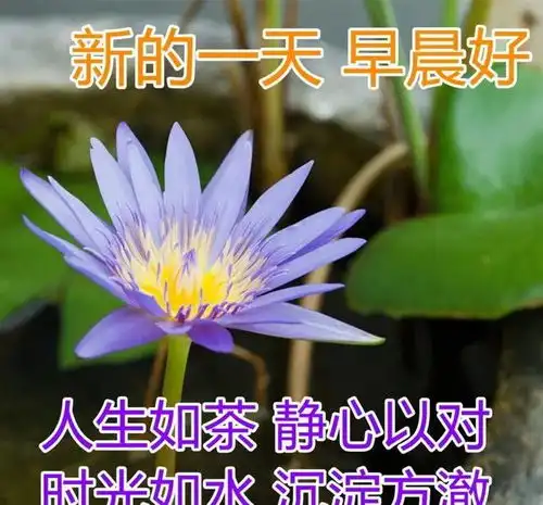 芸芸众生,执着地活着