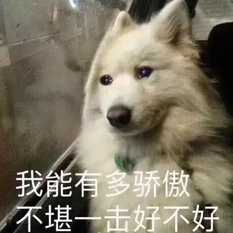 你撒过最离谱的谎言是啥这些简直就是神仙操作呀