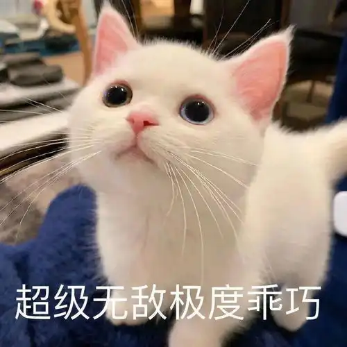 抖音被腾讯索赔1亿,下架扫黑风暴视频8000条