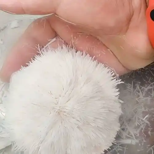 长江后浪推前浪,一浪更比一浪强,14岁的小女孩刀工竟是如此神速