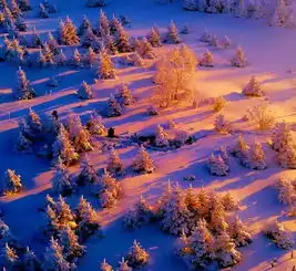 本期推荐冰雪雾凇睡佛山沙河湿地仁义顶瑞士雪镇小沟湿地