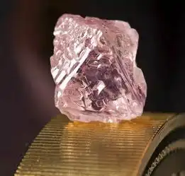 选择澳洲留学的福利优势