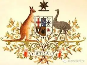 澳大利亚丨一张动物地图带你看尽澳洲的蠢萌本性