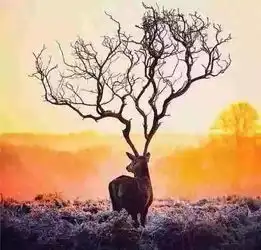 年底了,老师您辛苦了献给我孩子的老师和朋友圈里所有的老师们