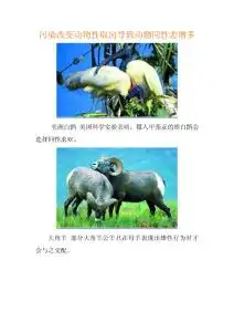 社会奇闻异事大观