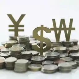 中国外汇储备连降三个月权威声音这都不是事