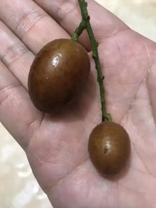 测试一个超长简介的文章