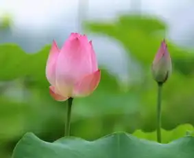 合肥附近最适合一日游的13个地方,周末约起来