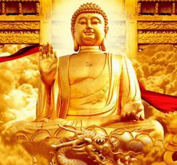 测试一个超长简介的文章