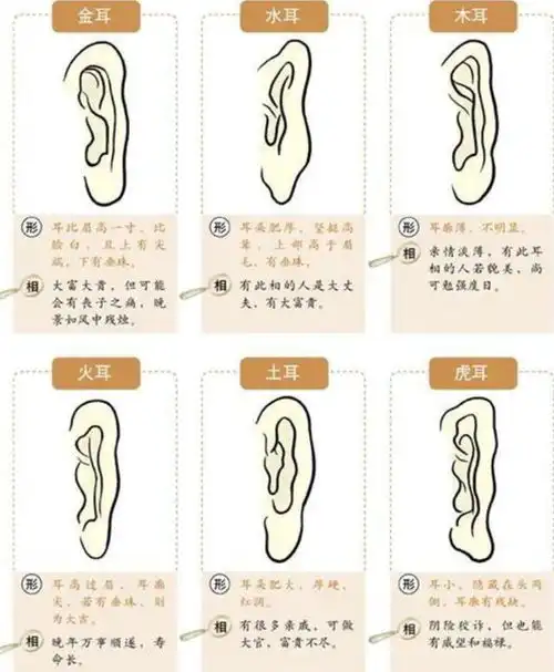 什么面相的人运气好这4个部位越大,家庭越好,一项运动来帮忙